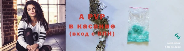 крисы Алексин