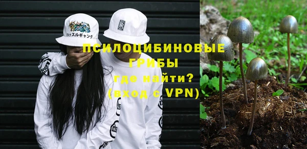 дурь Алексеевка
