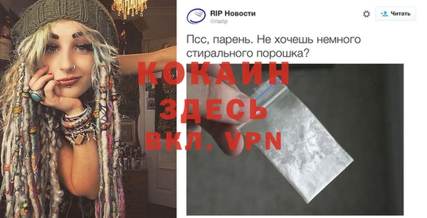 крисы Алексин